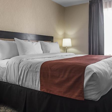Quality Inn & Suites קינגסטון מראה חיצוני תמונה